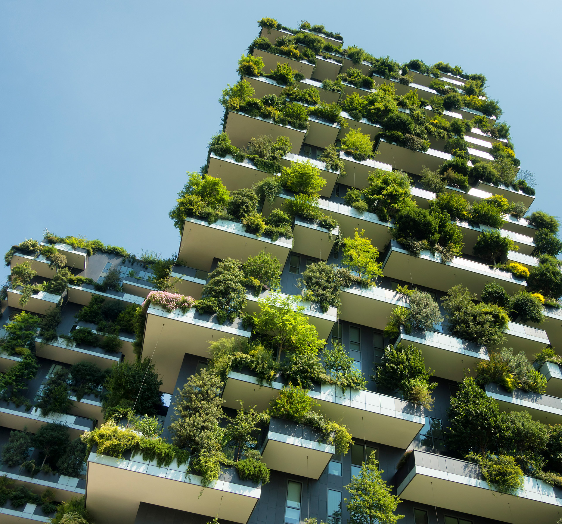 earthwise-capital-stephan-austrup-001.
